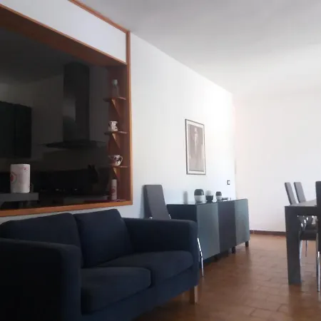 Zagara