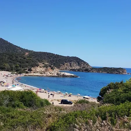 Zagara *