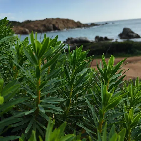 Zagara Semesterbostad Domus De Maria